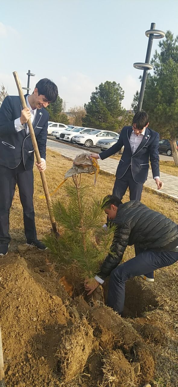 Students planting a tree